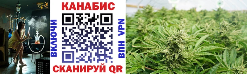 Бошки Шишки тримм OMG вход Советская Гавань
